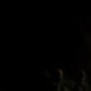 Meet your Posher, 블루밍